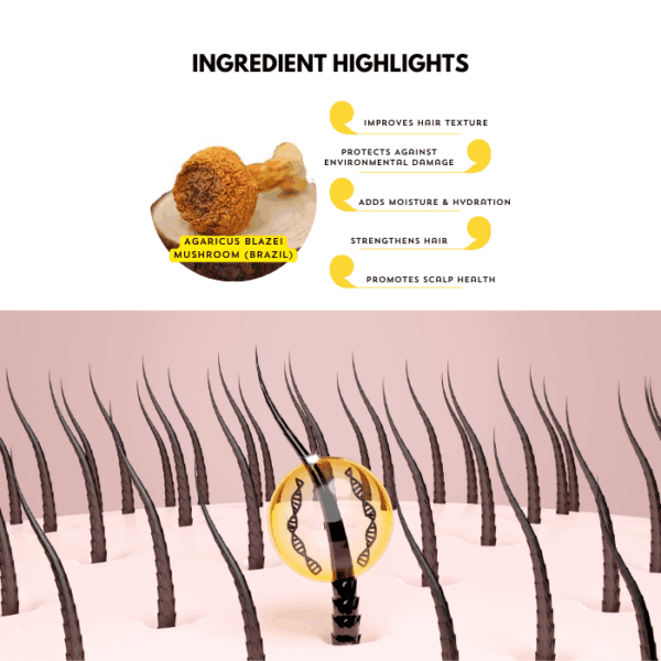 Agaricus Blazei mushroom extract for hair health and scalp nourishment.