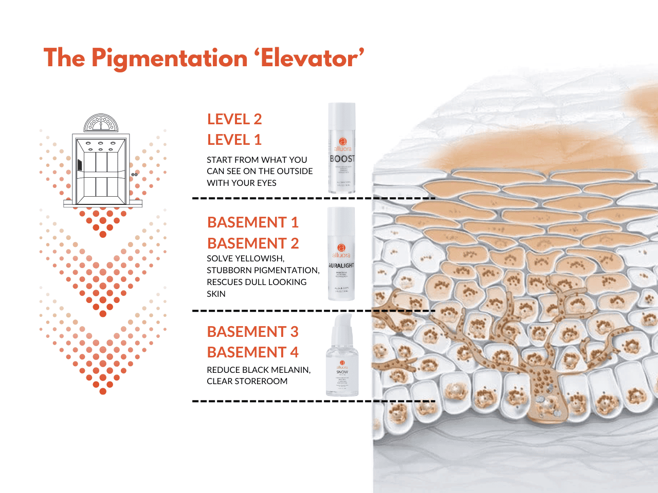 Boosting skin pigmentation with Alluora pigmentation treatment products.