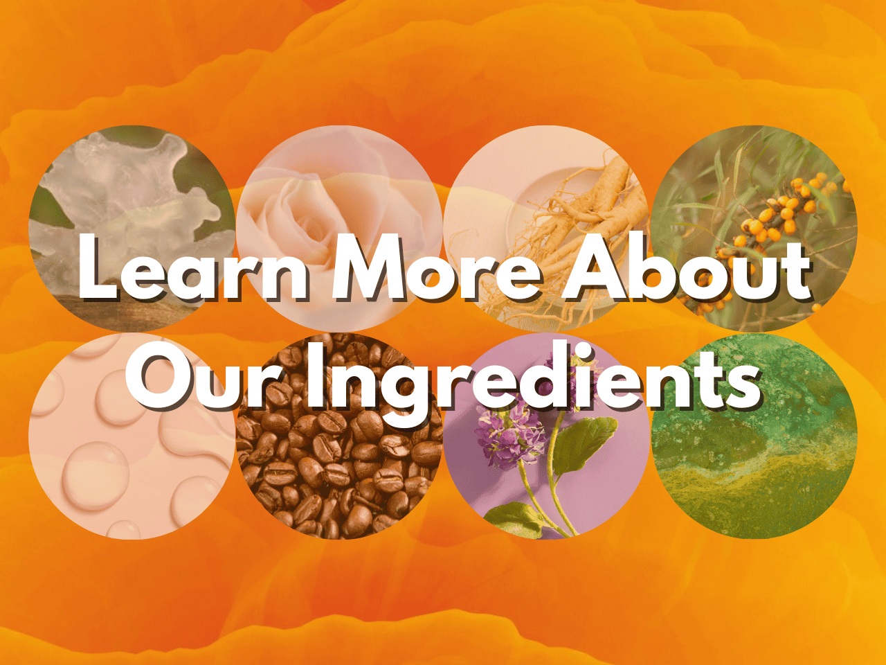 Bioactive ingredients in natural skincare products for healthy skin.